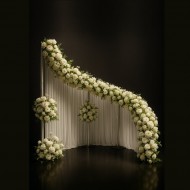 Kavisli Arka Fon Metal – Ayarlanabilir Dikey Direkli