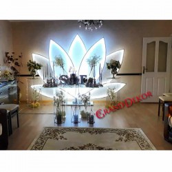 Yedi Yapraklı Yelpaze Arka Fon